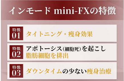 インモードミニFXの特徴
