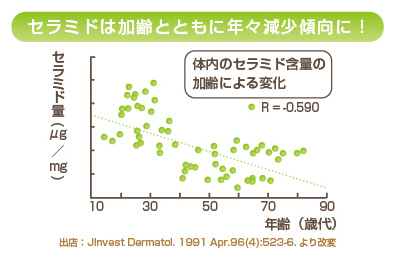 セラミドは加齢とともに年々減少傾向にあります